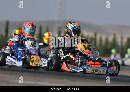 Carriera internazionale di Max Verstappen nel karting. Foto Stock