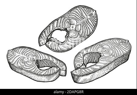Schizzo di bistecca di pesce. Carne, concetto di cibo illustrazione vettoriale Illustrazione Vettoriale