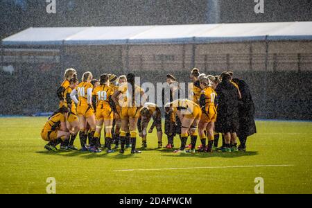 Londra, Regno Unito. 14 novembre 2020. Il team wasps alla fine della partita Womens Allianz Premier 15s tra Saracens Women e Wasps Ladies al Copthall Stadium di Londra, Inghilterra, il 14 novembre 2020. Foto di Phil Hutchinson. Solo per uso editoriale, è richiesta una licenza per uso commerciale. Nessun utilizzo nelle scommesse, nei giochi o nelle pubblicazioni di un singolo club/campionato/giocatore. Credit: UK Sports Pics Ltd/Alamy Live News Foto Stock