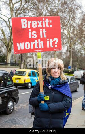 GRAN BRETAGNA / Inghilterra / Londra / attivisti anti-Brexit protestano fuori dalle Camere del Parlamento il 29 gennaio 2019 a Londra, unità Foto Stock