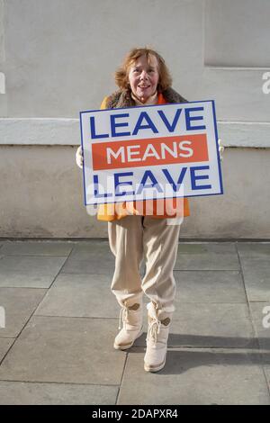 GRAN BRETAGNA / Inghilterra / Londra / attivisti pro-Brexit protestano fuori dalle Camere del Parlamento il 29 gennaio 2019 a Londra, Regno Unito. Foto Stock