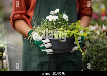 Ritratto ritagliato di giovane donna giardiniere nella serra soleggiata Foto Stock