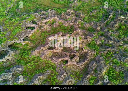 Veduta aerea del campo di lava Dimmuborgir, Skutustaoir, Norourland eystra, Islanda Foto Stock