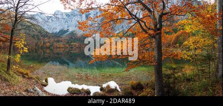 Foresta mista dai colori autunnali, Vorderer Langbathsee, vista panoramica, Salzkammergut, alta Austria, Austria Foto Stock