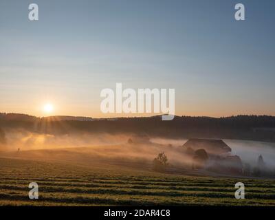 Alba sul Jostal, fattoria al sole del mattino, nebbia mattutina sui campi, Titisee - Neustadt, Hochschwarzwald, Foresta Nera Foto Stock