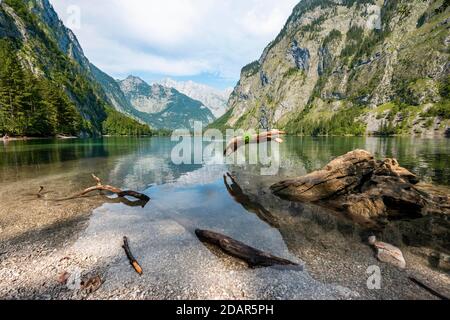 Il giovane salta nel lago, bagnati nel lago di montagna, le montagne si riflettono in Obersee, dietro Watzmann, salet a Koenigssee, Berchtesgaden National Foto Stock