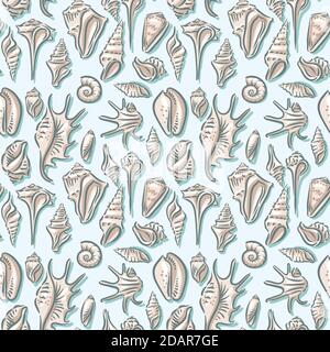 Conchiglia, conchiglia, mare, molluschi, molluschi, crostacei, struttura nautica senza giunture Illustrazione Vettoriale