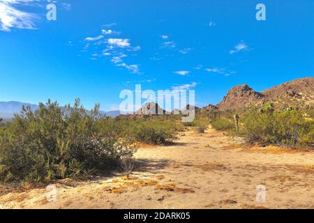 Paesaggio del deserto nella California meridionale, lago di Los Angeles Con montagne e massi Foto Stock