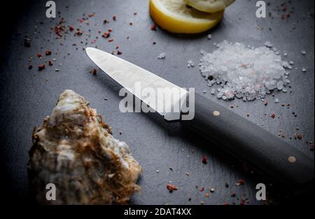 Coltello Oyster su fondo di pietra nera con limone e spezie. Vista dall'alto Foto Stock