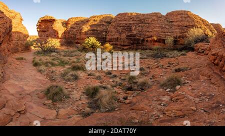 Il remoto paesaggio asciutto in Kings Canyon, territorio del Nord, Australia Foto Stock