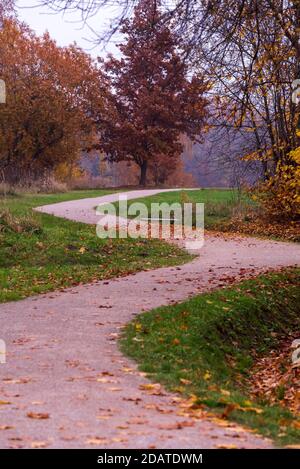 i sentieri naturalistici si snodano nei colori autunnali attraverso la natura verde moquette Foto Stock