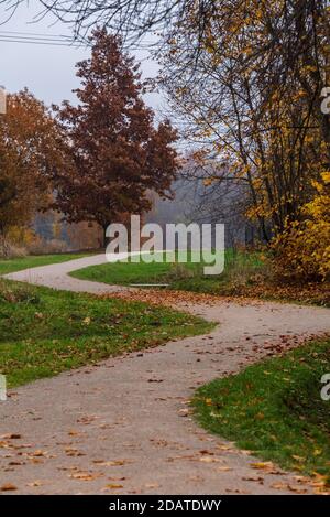 i sentieri naturalistici si snodano nei colori autunnali attraverso la natura verde moquette Foto Stock