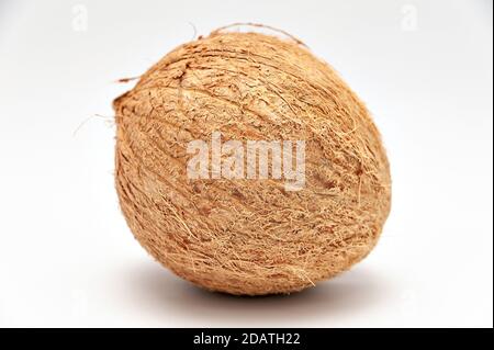 Cibo sano - cocco intero in primo piano. Isolato su sfondo bianco. Shot orizzontale. Foto Stock