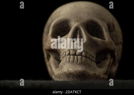 Primo piano di un cranio umano bianco, foto macro Foto Stock