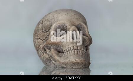 Primo piano di un cranio umano bianco, foto macro Foto Stock