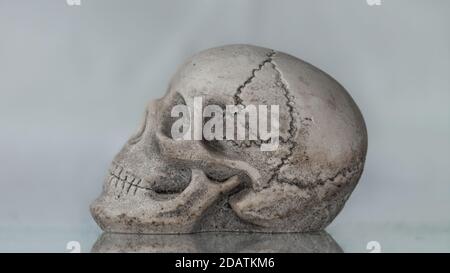Primo piano di un cranio umano bianco, foto macro Foto Stock