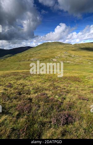 Vista su Yoke Fell, la valle Hartsop, il passo di Kirkstone, Lake District National Park, Cumbria, Inghilterra, UK Yoke Fell è una delle 214 campane di Wainwright. Foto Stock