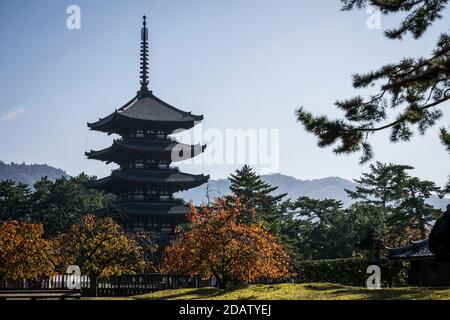 Vista della pagoda a cinque piani del tempio di Kofuku-ji a Nara, Giappone, in una calda mattina d'autunno Foto Stock