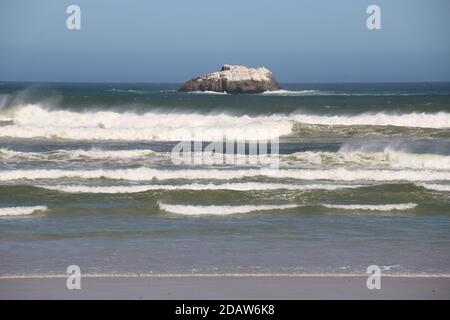 Sulla riva del selvaggio oceano atlantico in Yzerfontein, rocce e surf. Sudafrica, Africa. Foto Stock