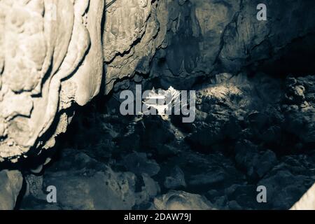 Una vista interna della popolare Grotta di Mawsmai Cherrapunjee (Sohra), Meghalaya. India Foto Stock