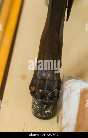 Egitto, Cairo, Museo Egizio, dalla tomba di Yuya e Thuya a Luxor : i piedi di una sedia di legno sono zampe di leone, in argento. Foto Stock
