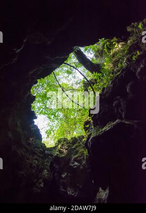 Una vista interna della popolare Grotta di Mawsmai Cherrapunjee (Sohra), Meghalaya. India Foto Stock