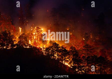 Wildfire su Three Sisters Mountain, Walland, Tennessee, nel novembre del 2016. Foto Stock