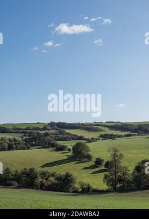 Chillerton Downs tardo pomeriggio con lunghe ombre di alberi attraverso colline ondulate sotto il cielo blu chiaro con nuvole minime. Foto Stock