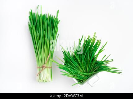 Erba di grano verde su sfondo bianco. Foto Stock