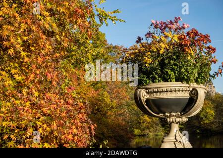 Piantatrice su Bow Bridge, Central Park, New York, Stati Uniti Foto Stock