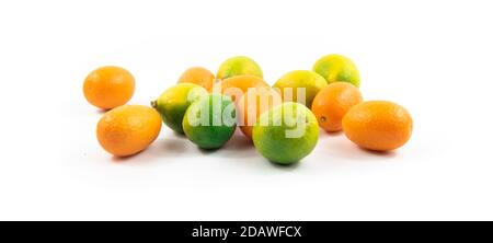 Serie di foto di kumquat e limequat, belle composizioni per menu e siti, piatti, su sfondo bianco isolato Foto Stock