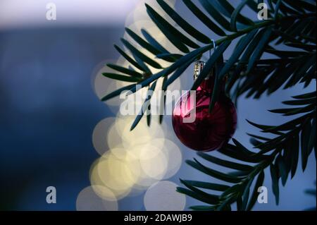 Cartolina di Natale con il bauble rosso sull'albero di Natale Foto Stock