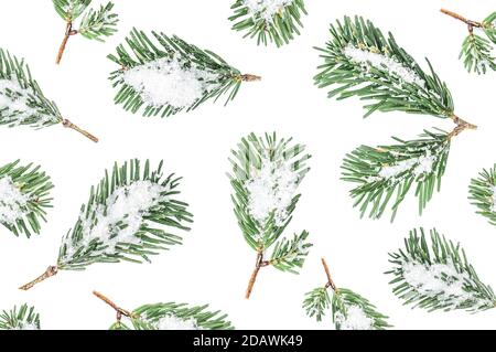 Rami di abete con una neve isolata su sfondo bianco. Modello. Albero di Natale, concetto di inverno. Foto Stock