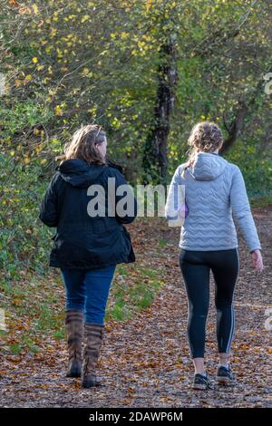 Due giovani donne attraenti camminano-in lungo un percorso nel legno insieme che tiene in forma camminare e parlare Foto Stock