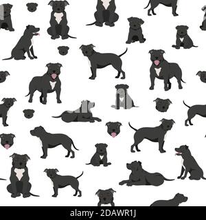 Modello senza giunture Staffordshire bull terrier. Set di caratteri Staffy. Illustrazione vettoriale Illustrazione Vettoriale