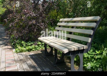 Una vera panca di legno bianco non dipinta su un metallo nero Base in un parco tra cespugli di foglie marroni e verdi e gli alberi accanto a un marciapiede grigio pavimentato con Foto Stock