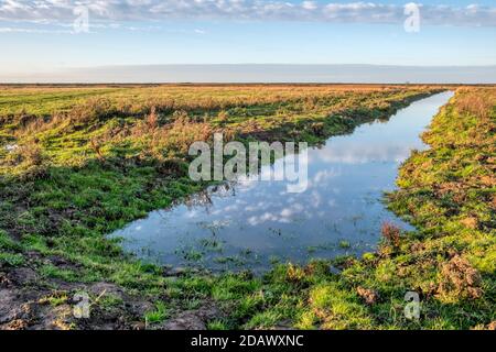 Canale di drenaggio attraverso il pascolo delle paludi d'acqua dolce sulla riva orientale del Washington. Foto Stock