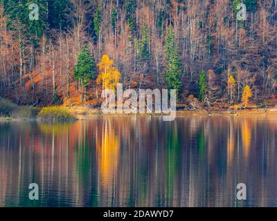 Bella fine Autumnal lago riflessione Lokve lago Lokvarsko jezero in Croazia Europa Foto Stock