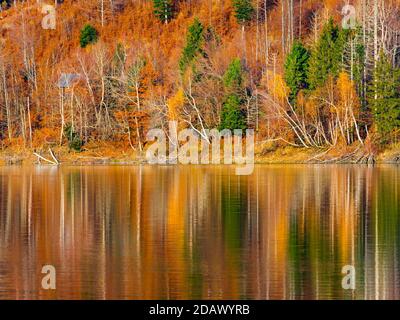 Spettacolari colori caldi Autumnal lago riflessione Lokve lago Lokvarsko jezero In Croazia Europa Foto Stock