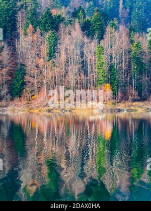 Spettacolare riflesso del lago autunnale con un accenno di prima mattina Dribble onde Lokve lago Lokvarsko jezero in Croazia Europa Foto Stock