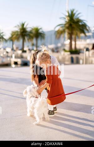 Bella ragazza di 2 anni in un vestito di terracotta è in gioco con un piccolo cane bianco al guinzaglio Foto Stock