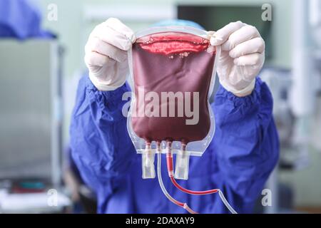 Mani guelse di un lavoratore medico che tiene una borsa di primo piano del sangue del donatore Foto Stock