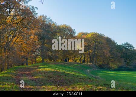 Muro di terra intorno alla storica Haithabu, Busdorf vicino a Schleswig, Haddeyer Noor, Regione Schlei, Schleswig-Holstein, Germania del Nord, Europa Foto Stock