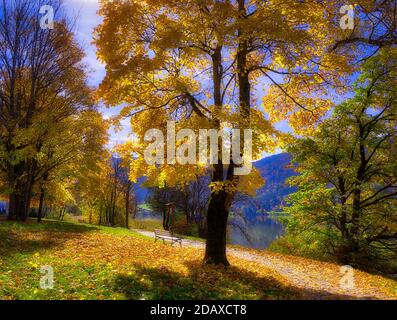 DE - BAVARIA: Autum lungo il Lago di Schliersee Foto Stock