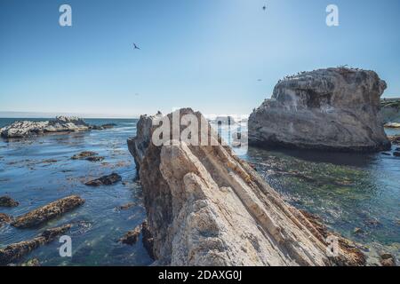 Scogliere rocciose a bassa marea. Shell Beach, Pacific Coast, California Foto Stock