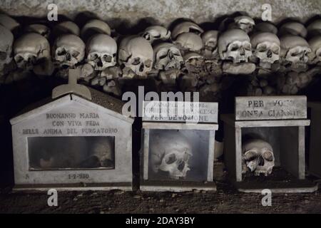 Teschi umani scatolati al Cimitero di Fontanelle (Cimitero delle Fontanelle) a Napoli, Campania, Italia. L'ex caserma (ossario) situata in una grotta del distretto di Materdei era il luogo in cui si sviluppò a Napoli il culto spontaneo della devozione ai resti di morti senza nome. I difensori del culto hanno pagato visite ai teschi senza nome nell'ossario per adottarli e persino dare i nomi dei teschi. I teschi adottati furono collocati all'interno della scatola decorata e diventarono oggetto di regolare offerta orante e votiva. Foto Stock