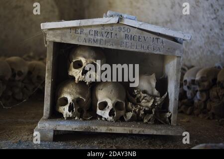 Teschi umani scatolati all'interno del Cimitero delle Fontanelle (Cimitero delle Fontanelle) di Napoli, Campania, Italia. L'ex caserma (ossario) situata in una grotta del distretto di Materdei era il luogo in cui si sviluppò a Napoli il culto spontaneo della devozione ai resti di morti senza nome. I difensori del culto hanno pagato visite ai teschi senza nome nell'ossario per adottarli e persino dare i nomi dei teschi. I teschi adottati furono collocati all'interno della scatola decorata e diventarono oggetto di regolare offerta orante e votiva. Foto Stock