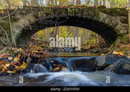 Una cascata d'acqua nel torrente che scorre sotto un antico ponte di pietra nella foresta d'autunno.
