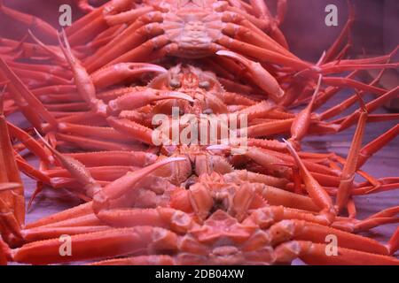 Granchi rossi al vapore in esposizione nel mercato del pesce all'aperto Foto Stock