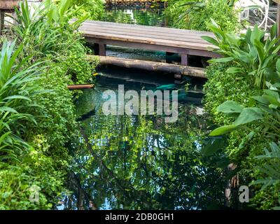 Vuoto piccolo vecchio ponte di legno sul fresco ruscello nel giardino verde. Foto Stock